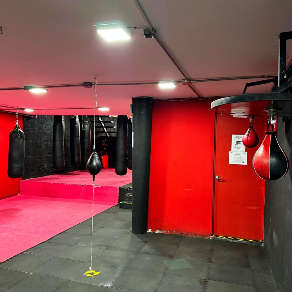 Área de box con peras y puerta de acceso